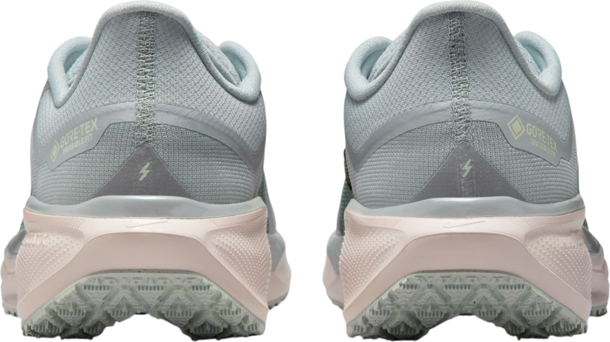 Кросівки та взуття Nike Pegasus 41 GORE-TEX Різнокольоровий | fq1356-007, 1