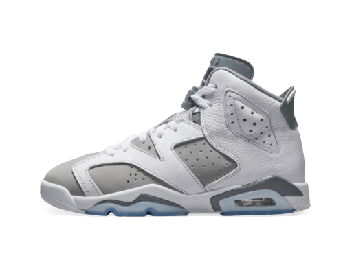 Кросівки та взуття Jordan Air Jordan 6 Retro "Cool Grey" GS Сірий | 384665-100