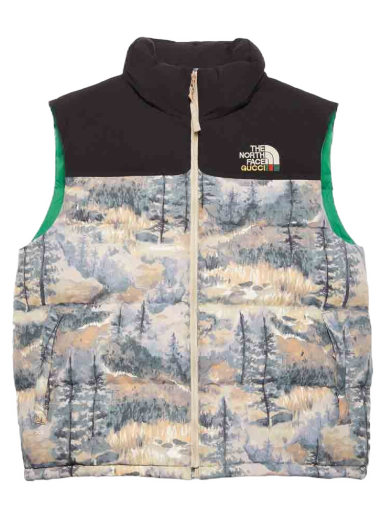 The North Face x Down Vest