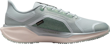 Кросівки та взуття Nike Pegasus 41 GORE-TEX Різнокольоровий | fq1356-007, 3