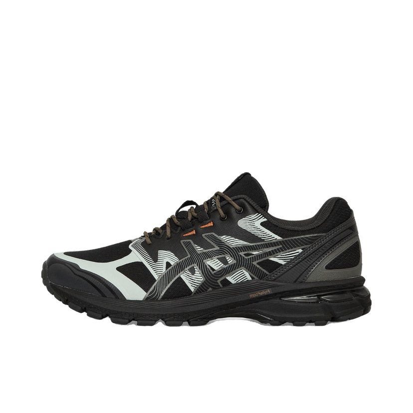 Кросівки та взуття Asics GEL-Terrain чорний | 1203A342-002