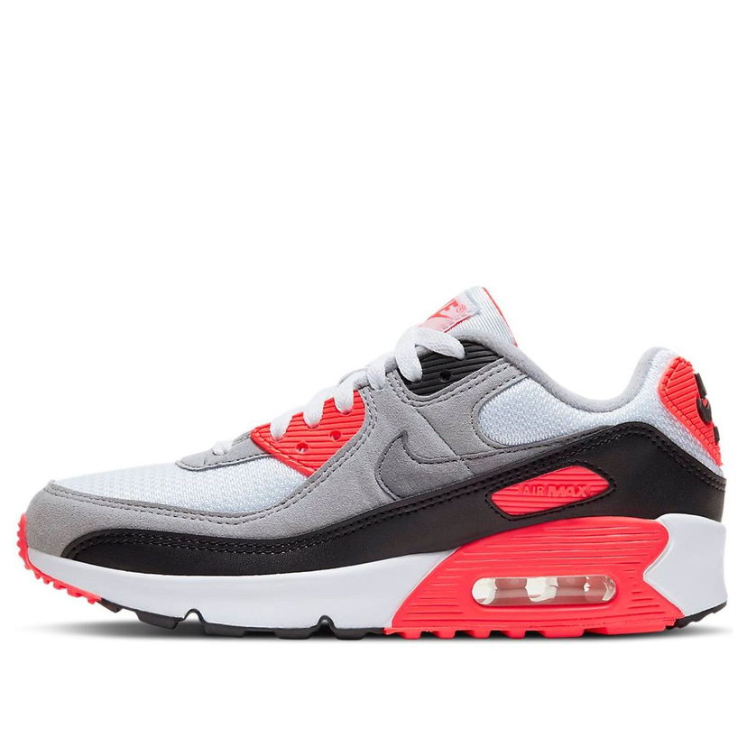 Кросівки та взуття Nike Air Max 90 Сірий | DC8334-100