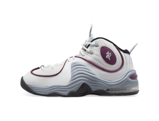 Кросівки та взуття Nike Air Penny 2 "Rosewood" білий | DV1163-100