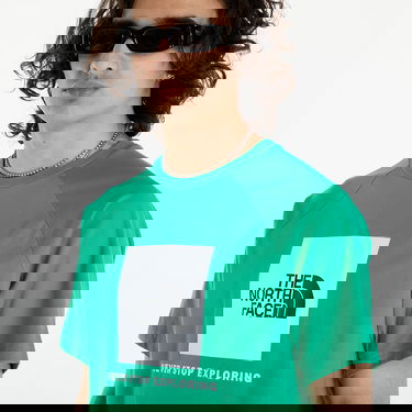 Футболка The North Face S/S Raglan Redbox Tee Optic Emerald Зелений | NF0A87NJPO81, 3