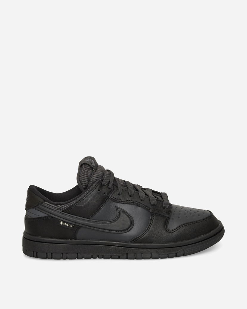 Кросівки та взуття Nike Dunk Low GORE-TEX чорний | HQ2053-001