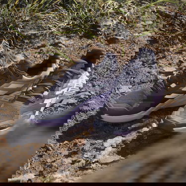 Кросівки та взуття adidas Performance adidas Terrex TERREX SOULSTRIDE R.RDY W Сірий | id7754, 7