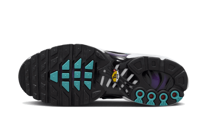 Кросівки та взуття Nike Air Max Plus "Reverse Grape" Фіолетовий | FQ2415-500, 1