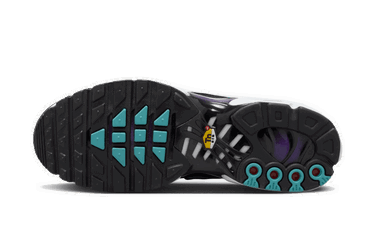 Кросівки та взуття Nike Air Max Plus "Reverse Grape" Фіолетовий | FQ2415-500, 1