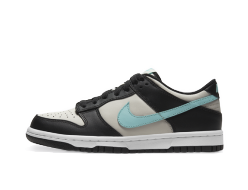 Кросівки та взуття Nike Dunk Low "Tiffany" GS Сірий | CW1590-003