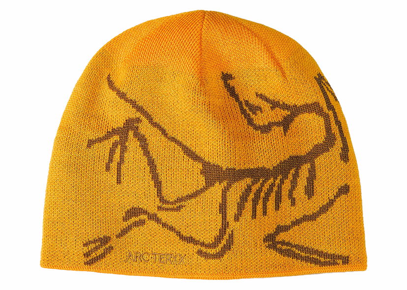 Шапка Arcteryx Arc'teryx Bird Head Toque Жовтий | X000006756