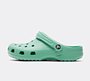 Кросівки та взуття Crocs Classic Clog W Зелений | 10001-3UG, 1