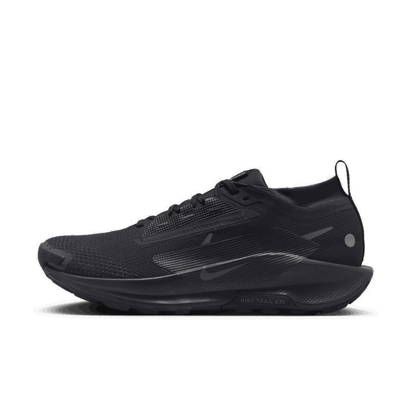 бігти Nike Pegasus Trail 5 GORE-TEX чорний | FQ0908-002