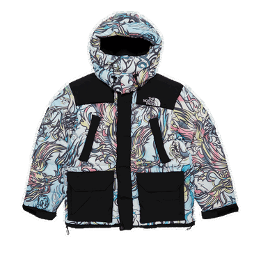 Парка Supreme The North Face x 700-Fill Down Parka Різнокольоровий | FW22J6 MULTICOLOR DRAGON, 0