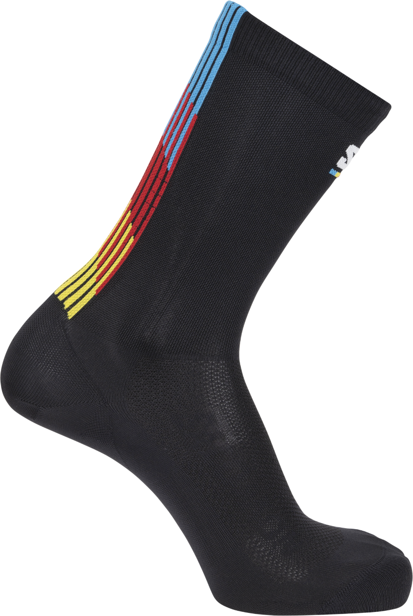 Шкарпетки Salomon Salomon Pulse Race Flag Crew Socks чорний | lc2625-200
