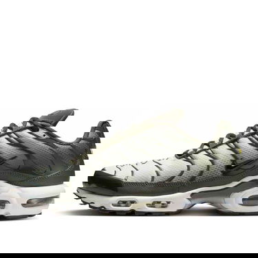 Кросівки та взуття Nike Air Max Plus 'Olive Gradient' Зелений | DM0032-300, 0