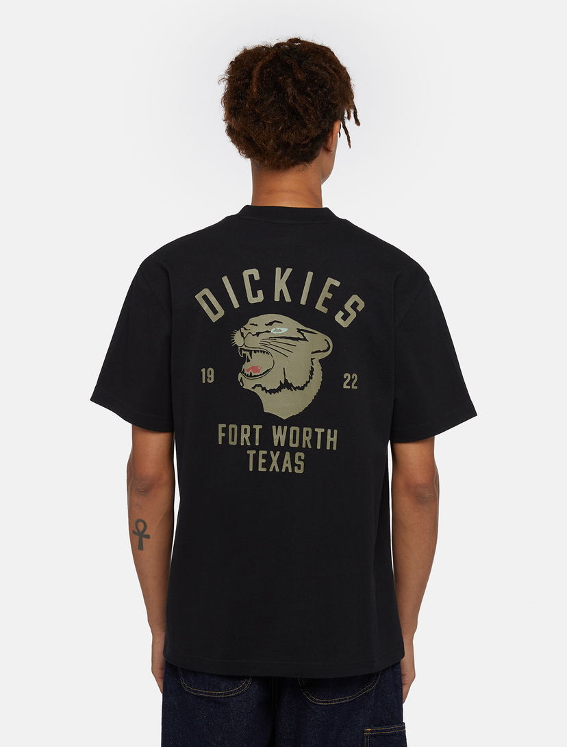 Футболка Dickies Panther чорний | 0A4Z4I