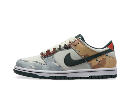 Кросівки та взуття Nike Dunk Low SE "Sail Multi-Camo" GS Різнокольоровий | DB1909-100