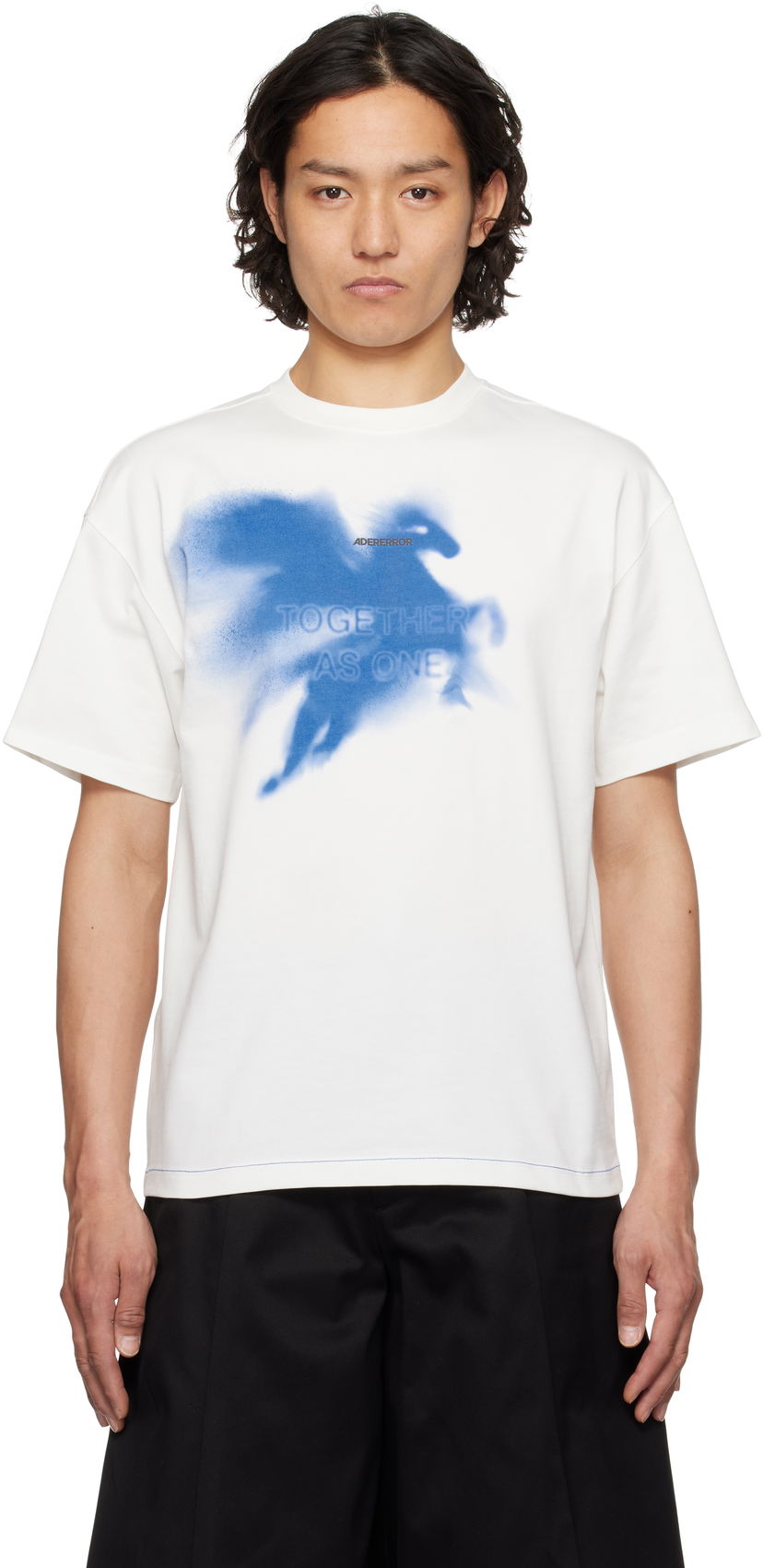 Футболка ADER ERROR ADER error 0108 Pegasus Graphic T-Shirt білий | BO01SSTS0108OW