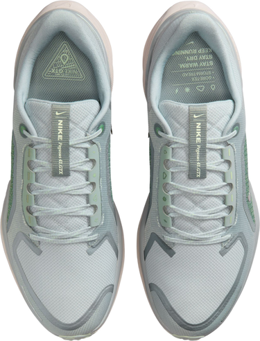 Кросівки та взуття Nike Pegasus 41 GORE-TEX Різнокольоровий | fq1356-007, 2