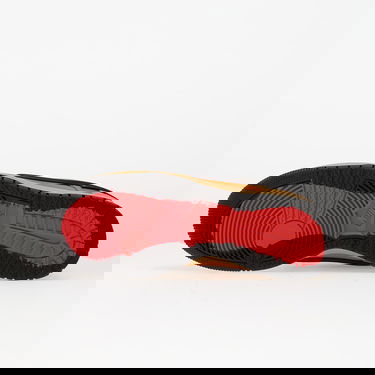 Кросівки та взуття Nike Dunk Low Gtx Коричневий | HQ2053-700, 1