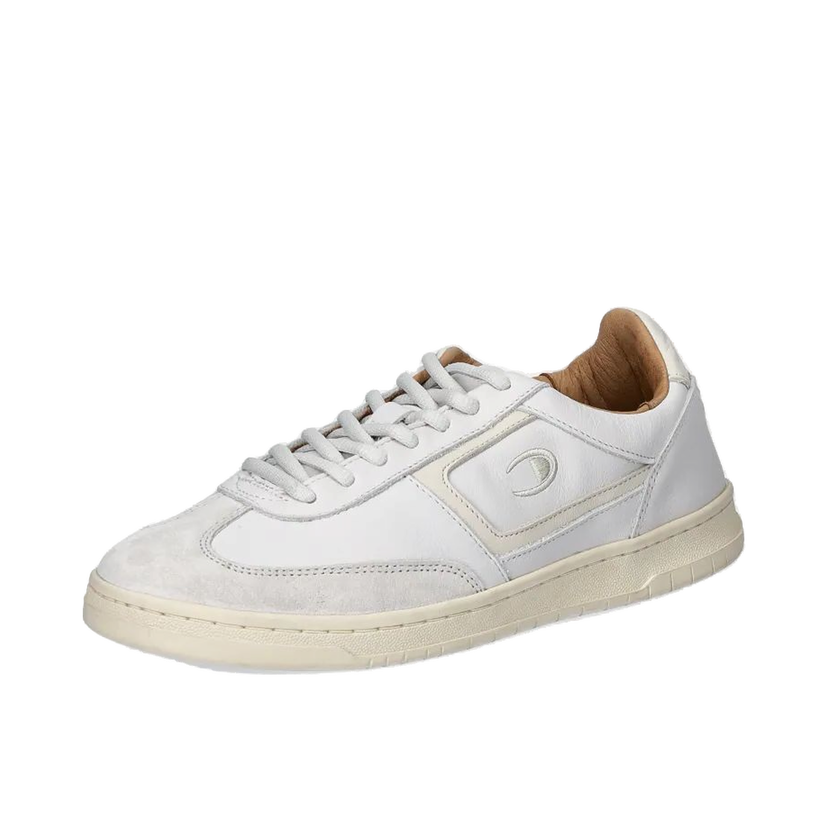Кросівки та взуття Champion CL78 I&A Low Cut білий | S22375