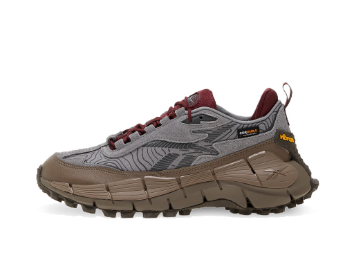 бігти Reebok Zig Kinetica 2.5 Edge "Pure Grey 5/ Track Grey/ Pure Grey" Сірий | 100034215