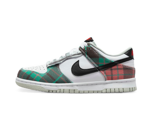 Кросівки та взуття Nike Dunk Low "Tartan Plaid" GS Різнокольоровий | DV8919-100