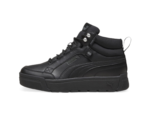 Кросівки та взуття Puma Tarrenz SB III Puretex чорний | 393930-01