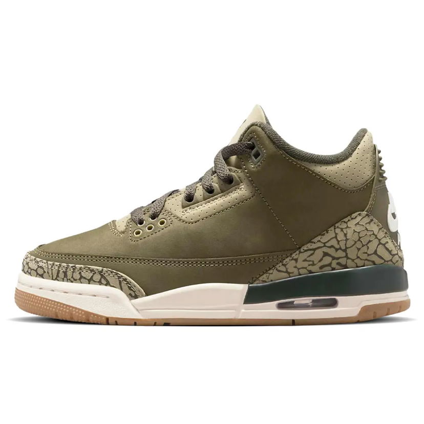 Кросівки та взуття Jordan Air Jordan 3 Retro "Family Affair" Зелений | DN3707-202