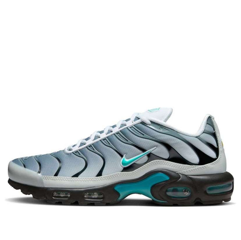 Кросівки та взуття Nike One Block Down Air Max Plus Сірий | FZ3308-001
