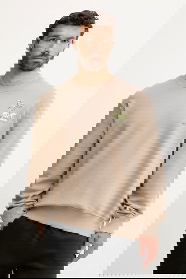 Світшоти The North Face Connect Relaxed Grow Your Own Way Graphic Print Sweatshirt бежевий | NF0A8E3ZBOX1, 2