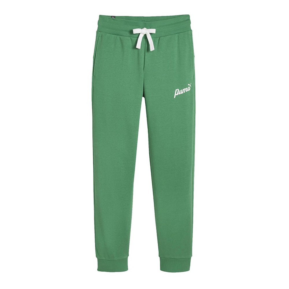 Спортивні штани Puma Essentials Plus Script Sweatpants Зелений | 679350-86, 0
