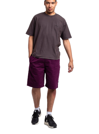 Шорти Stüssy Brushed Beach Short Фіолетовий | 112282