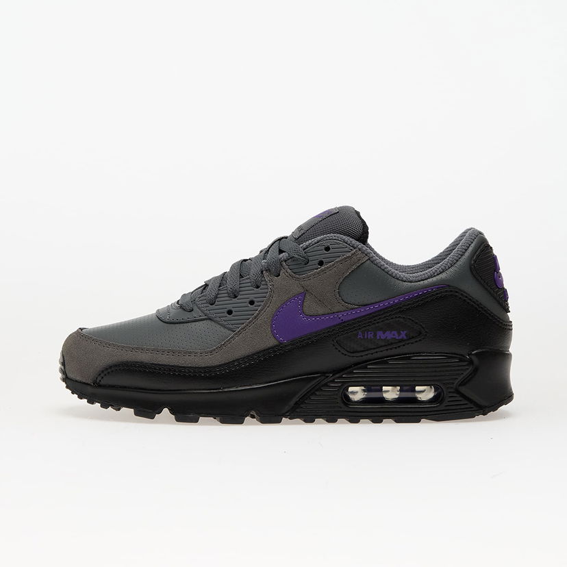 Кросівки та взуття Nike Air Max 90 Фіолетовий | IF0670-004
