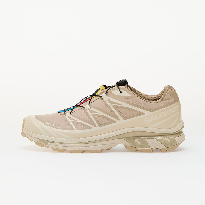 Кросівки та взуття Salomon XT-6 GTX бежевий | L47732400