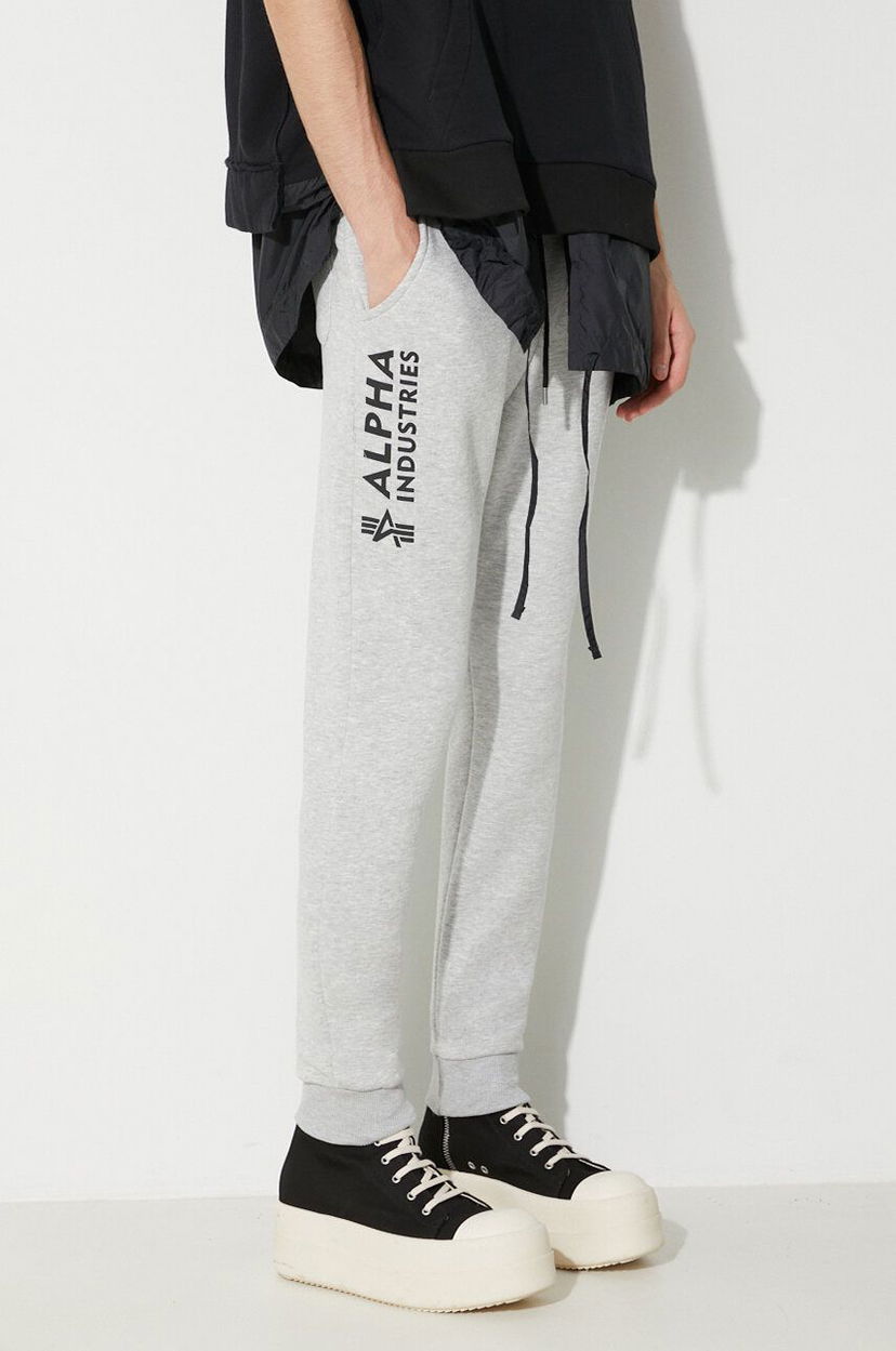 Спортивні штани Alpha Industries Sweatpants With Print Сірий | 116368.17