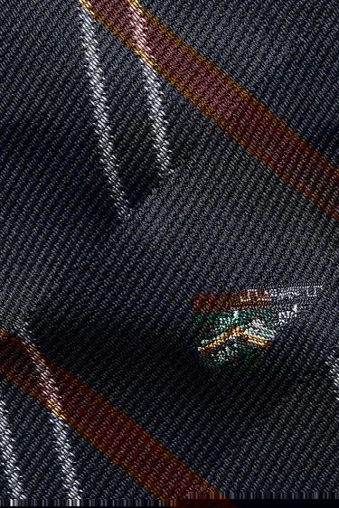 Аксесуари Polo by Ralph Lauren Polo Ralph Lauren Silk Tie with Crest and Stripe Pattern Різнокольоровий | 712971857, 2