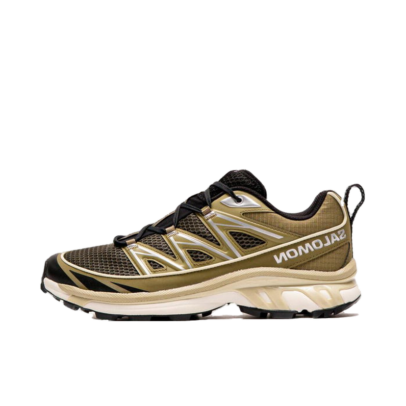 Кросівки та взуття Salomon XT-6 Expanse Seasonal Зелений | L47748600