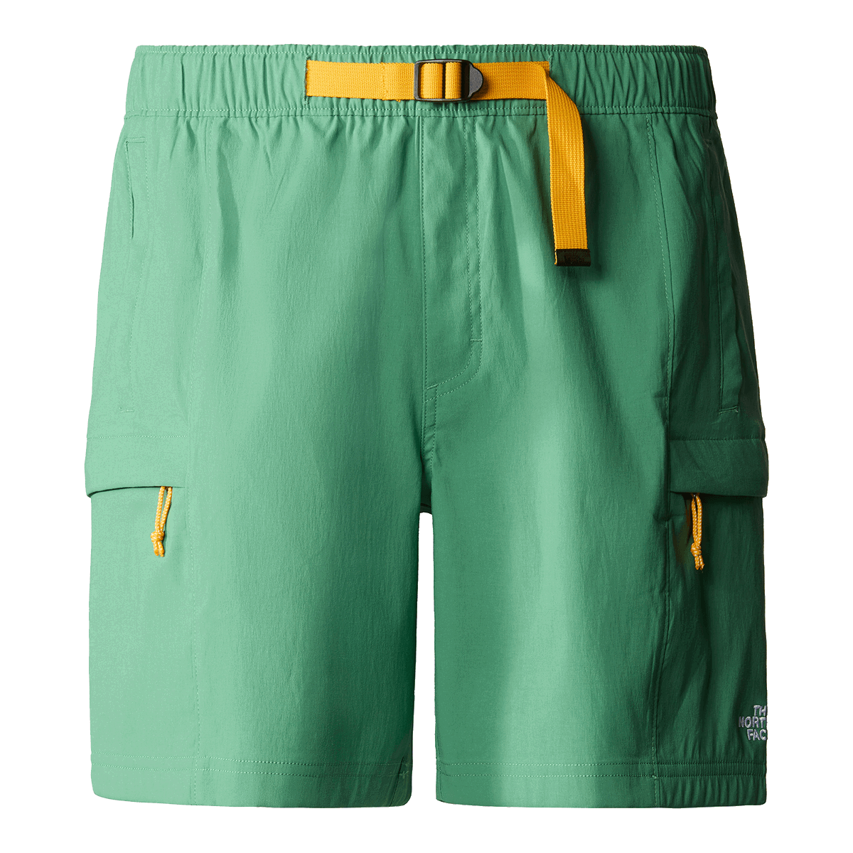 Шорти The North Face Class V Belted Cargo Short Зелений | NF0A55V8N111, 0