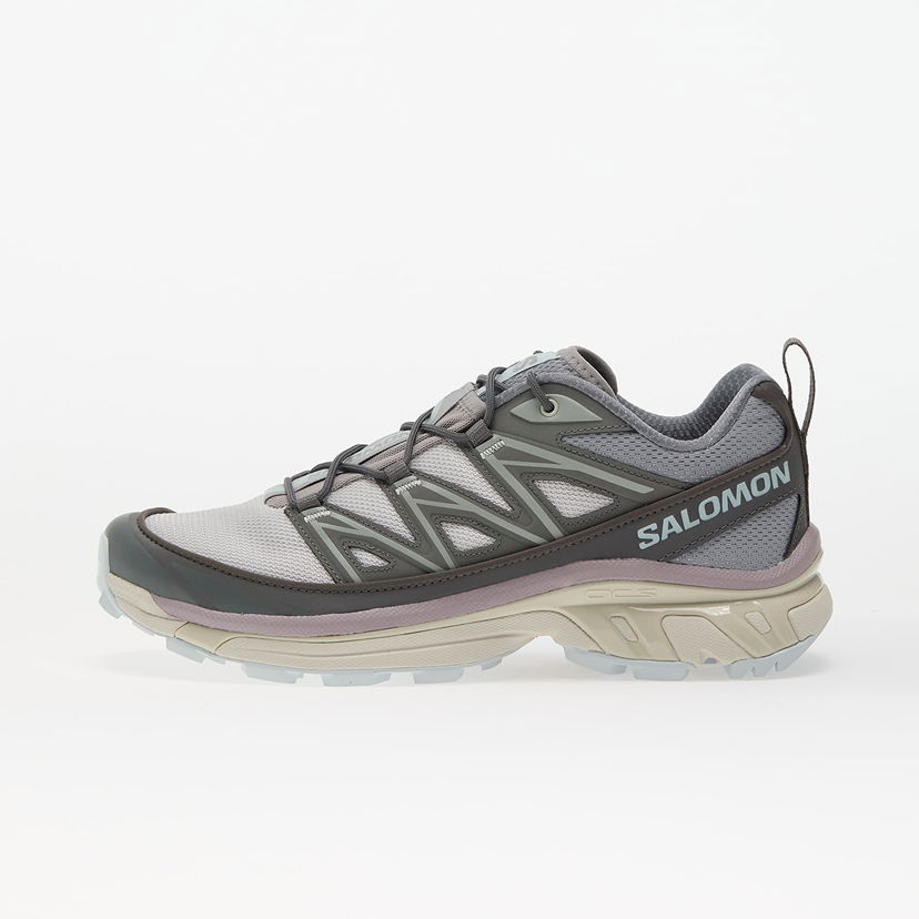 Кросівки та взуття Salomon XT-6 Expanse Сірий | L47859100