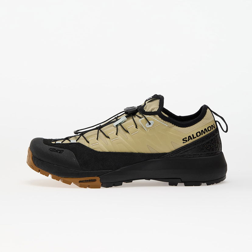 Кросівки та взуття Salomon ALPINWAY ADVANCED Paleol/ Black/ Ice бежевий | L47859600