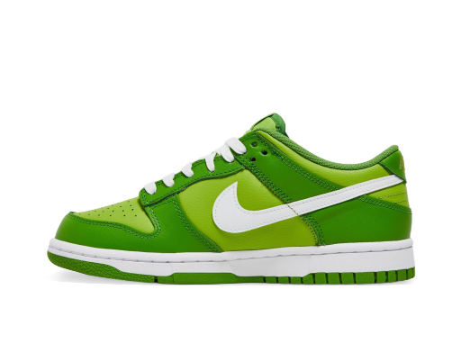 Кросівки та взуття Nike Dunk Low "Dark Chlorophyll" GS Зелений | DH9765-301