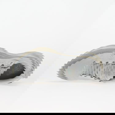 Кросівки та взуття Nike Vomero 18 Gore-Tex Сірий | HQ7001-003, 3