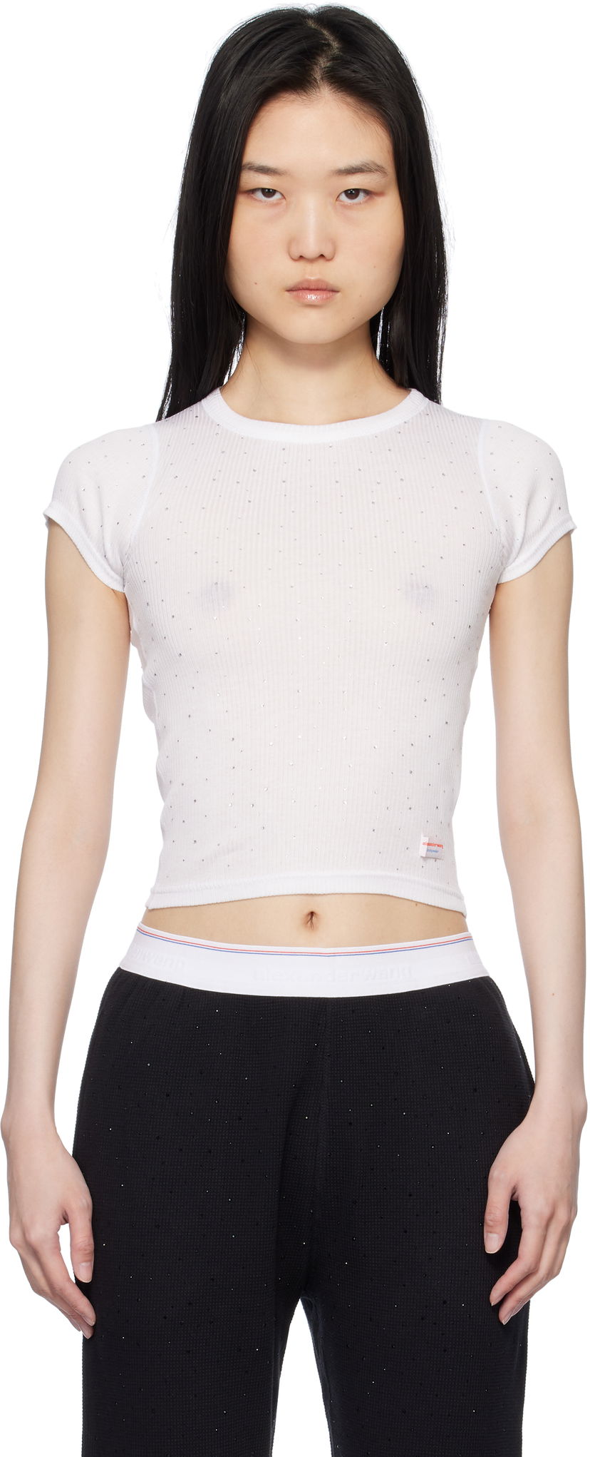 Футболка Alexander Wang White Crystal Hotfix Short Sleeve T-shirt білий | WL002T