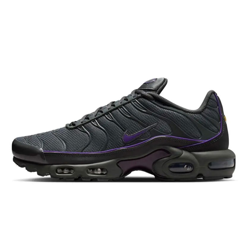 Кросівки та взуття Nike TN Air Max Plus "Iron Grey" чорний | HV8066-001