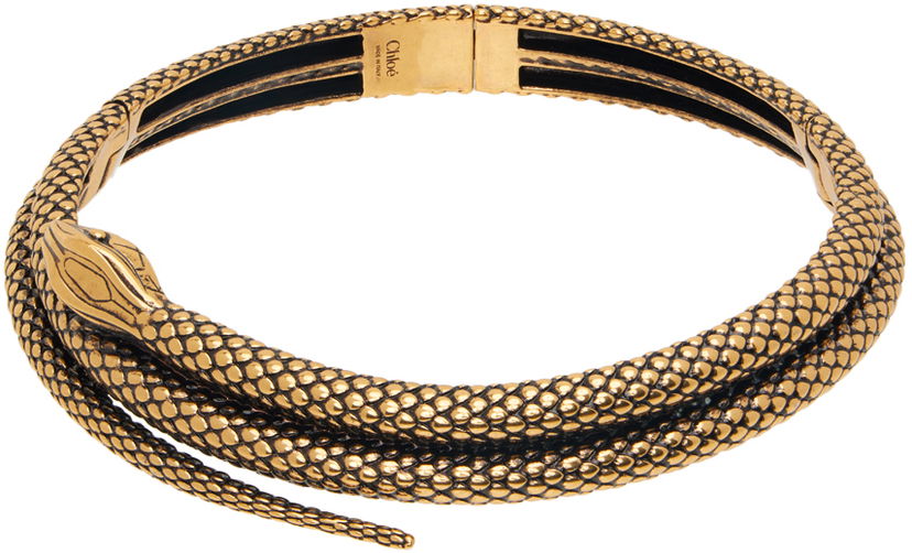 Кольє CHLOÉ Snake Gold Choker Металік | CHC24WFO71CB7