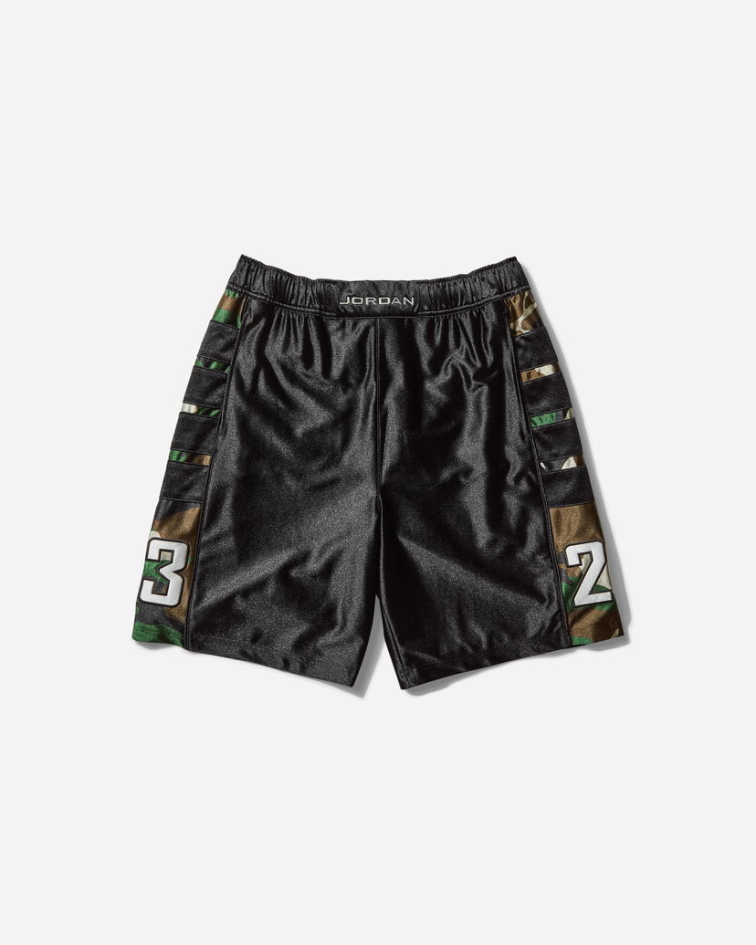 Шорти Jordan Cat-Scratch Camo Shorts чорний | HQ4703-394