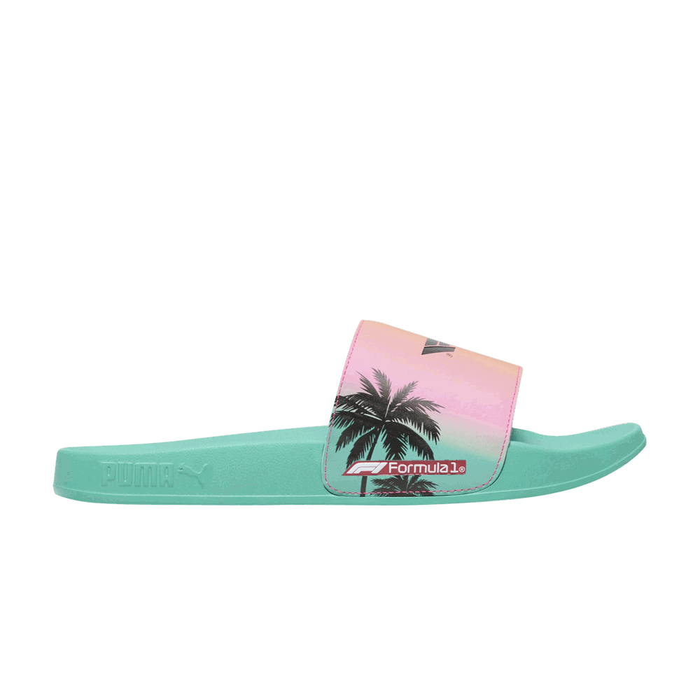 Кросівки та взуття Puma Formula 1 x Leadcat 2.0 Slides Бірюзовий | 308473-01, 0