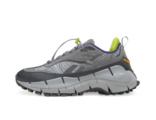 бігти Reebok Zig Kinetica 2.5 Сірий | GX6832