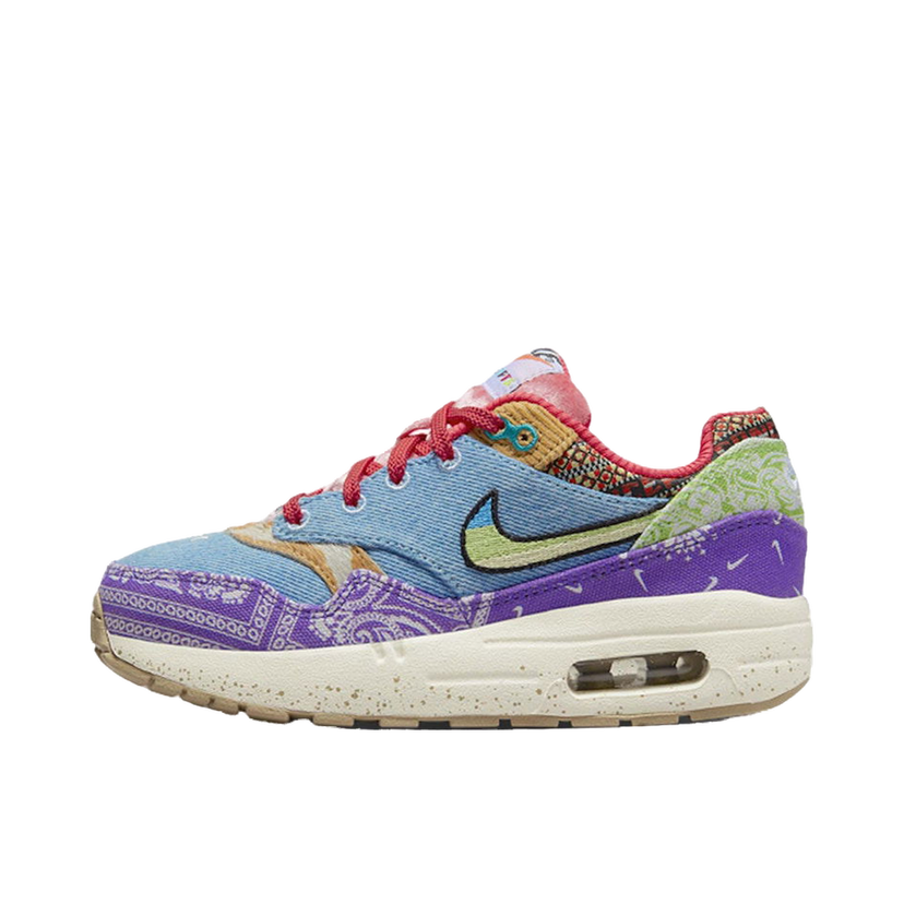 Кросівки та взуття Nike Air Max 1 SP Concepts Far Out Різнокольоровий | DR2362-100